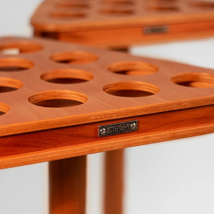 Portable Beer Pong